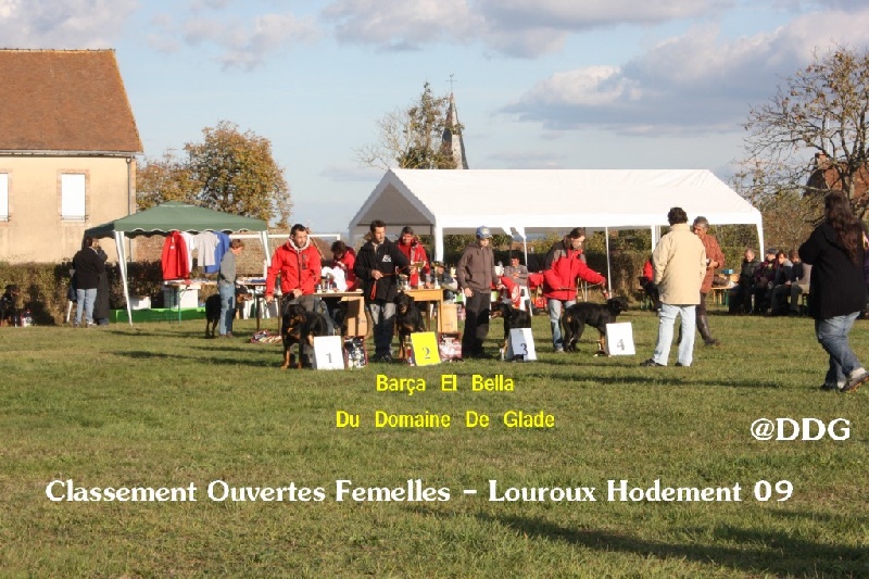 Barça el bella du Domaine de Glade - 2° EXCELLENTE Classe OUverte Femelle