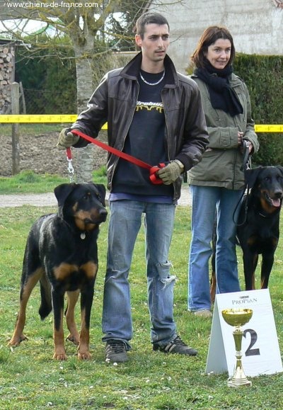 Corto du Domaine de Glade - 2° Excellent Classe Jeune + Exc Au Tan