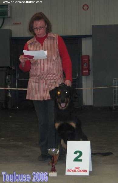 Violette du Domaine de Glade - 2° EXCellent Classe Jeune