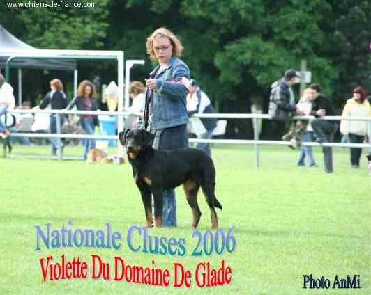 Violette du Domaine de Glade - Excellent + en morpho et Exc au TAN 8/8/8