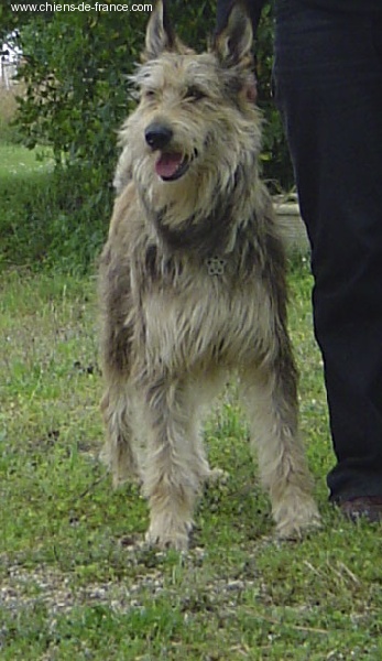 Uzak d'Ered Luin - 2ème Excellent RCACS/RCACIB