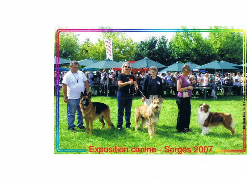 Uzak d'Ered Luin - CACS/MEILLEUR DE RACE/2émeMeilleur chien du groupe 1