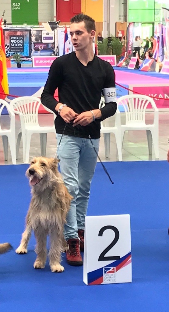 Lumi-lulu d'Ered Luin - 2ème EXCELLENT Femelles Classe Ouverte