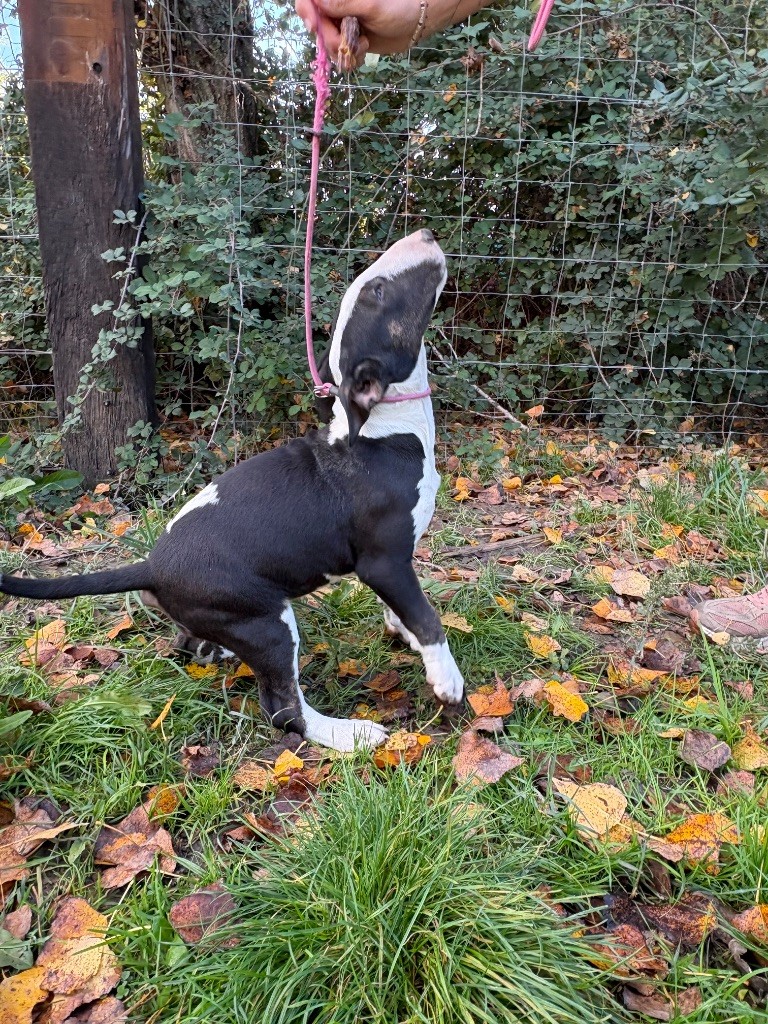 Actros mercedes Des Minis De Ryosie