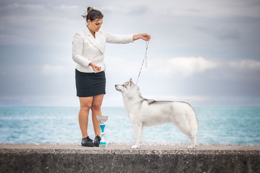 Bloodsnow Pink honey martini - 1ère EXC RCACS