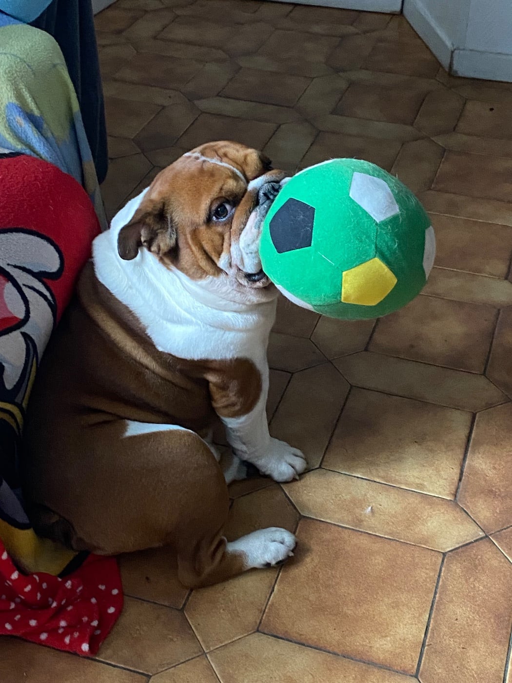 U topaze du comte de batz de castelmore