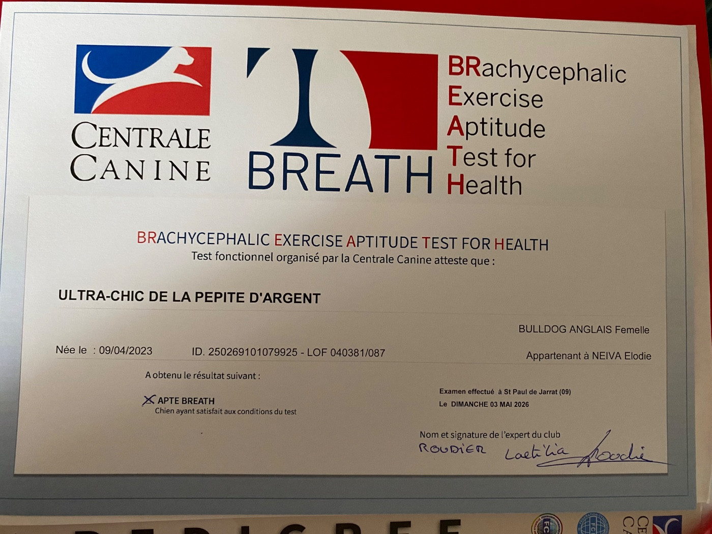 Ultra-chic De La Pépite D’Argent - BREATH obtenu