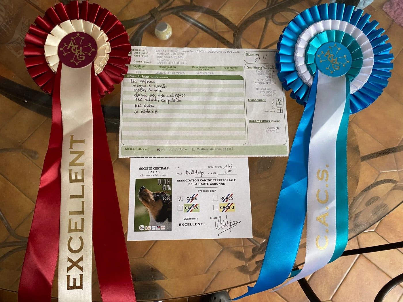 Ultra-chic De La Pépite D’Argent - 1 er Excellent + CACS + Meilleur de Race