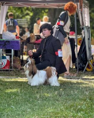 Halashan Vaniteux je sais