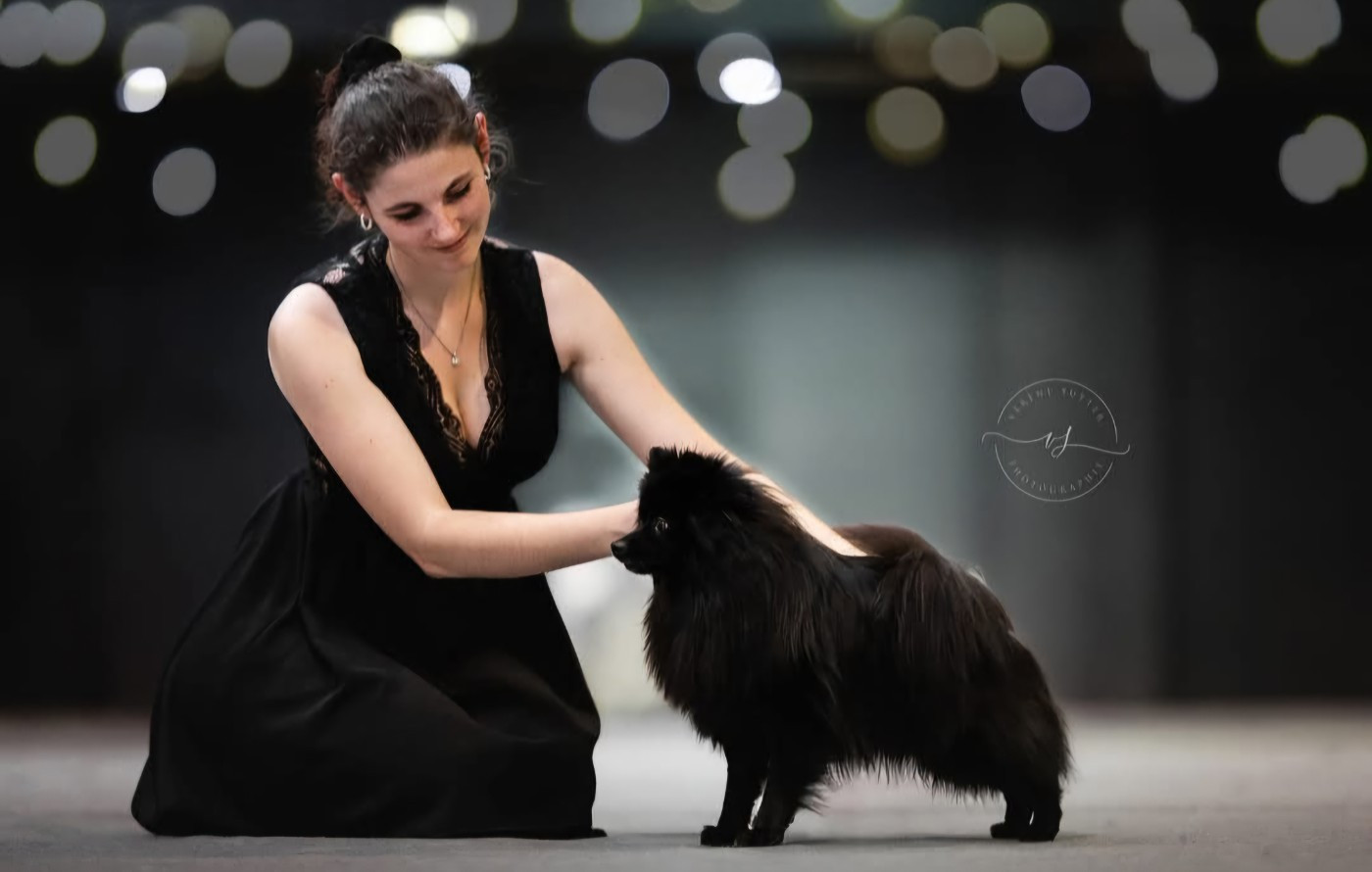Publication : (Sans Affixe) Auteur : Adèle Picaut