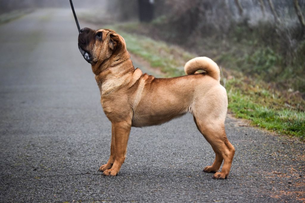 Au pays d merveilles Infinity Love Pei