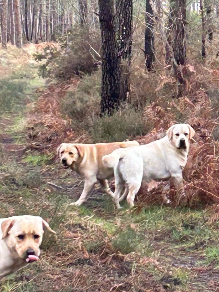 U.2. sand du pré de l'égvonne