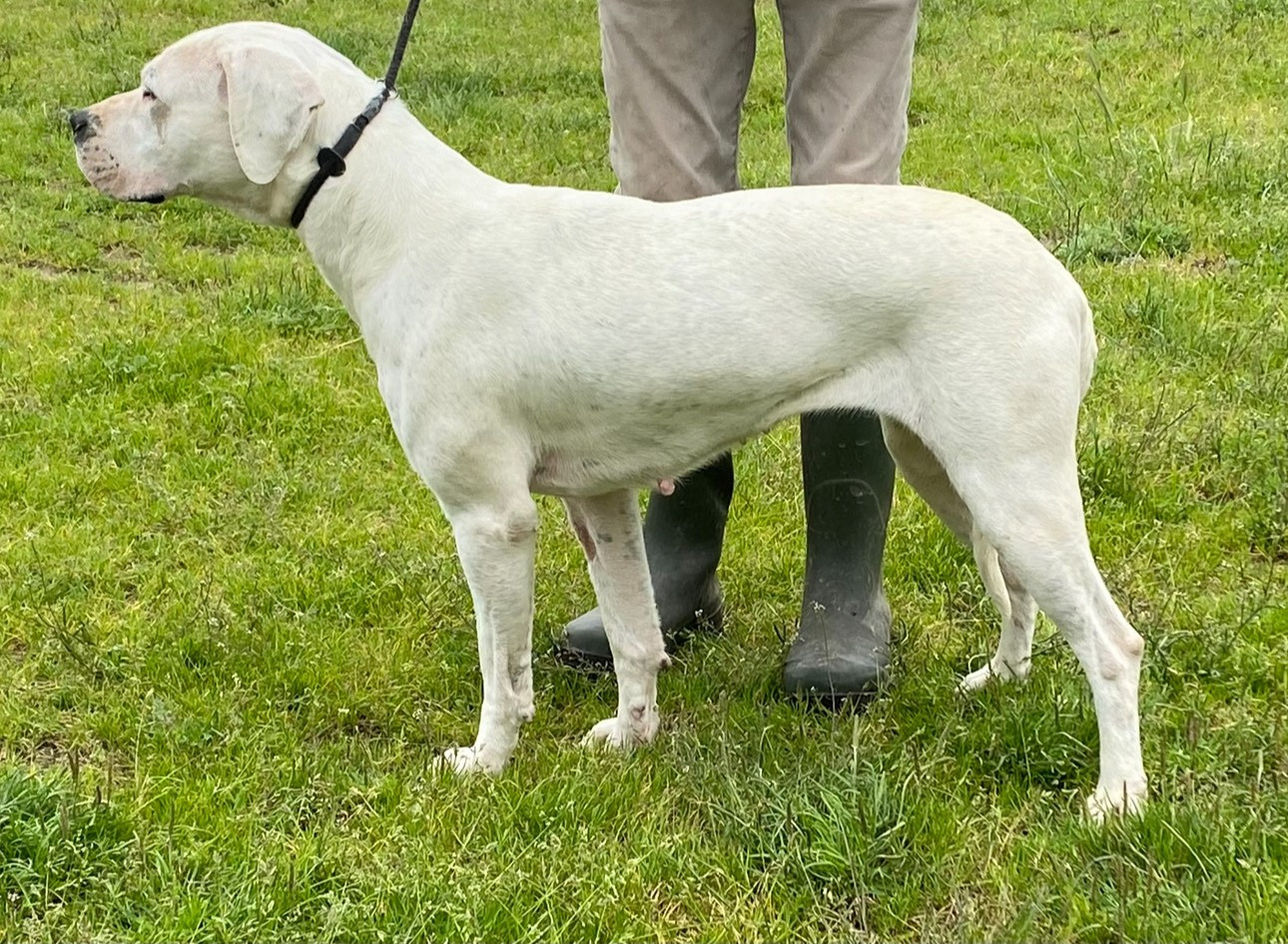 Tempete los guardias de la noche