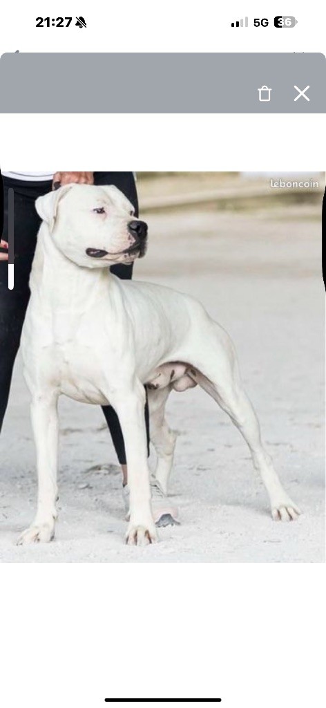 CH. Teotihuacan del Pachanka