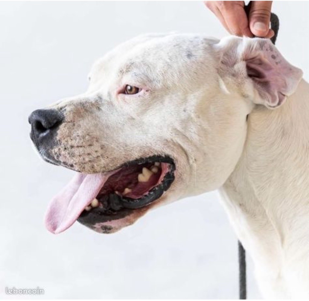 CH. Teotihuacan del Pachanka