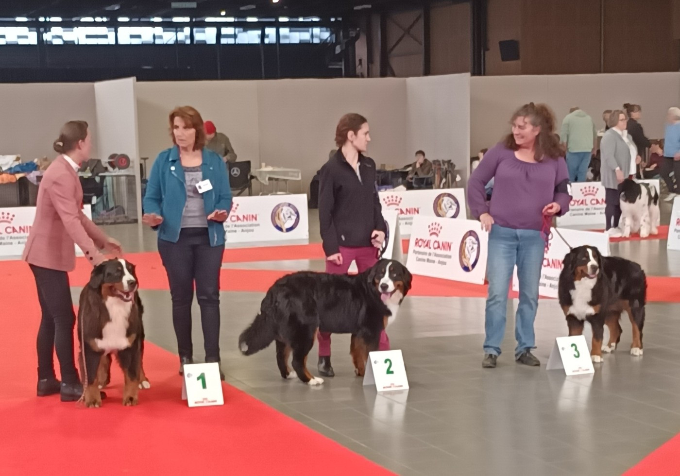 Alma De la Ferme de la Pessoutie - Le plaisir de participer