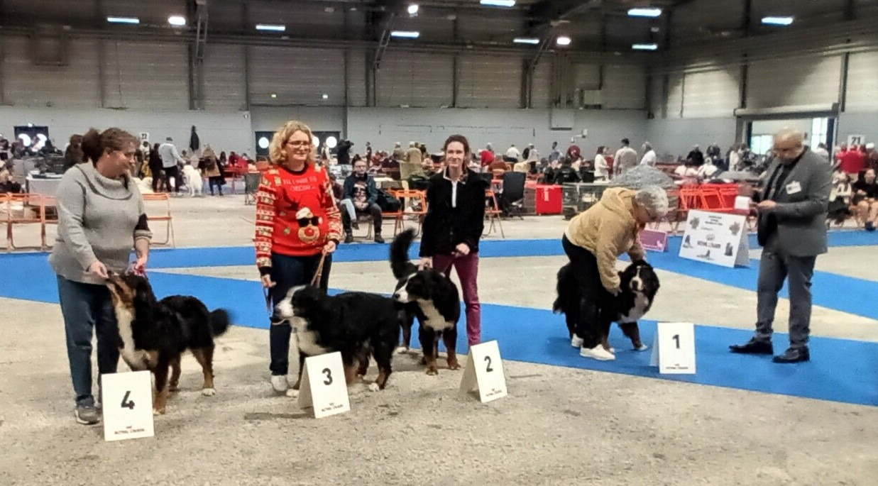 Alma De la Ferme de la Pessoutie - Le plaisir de participer