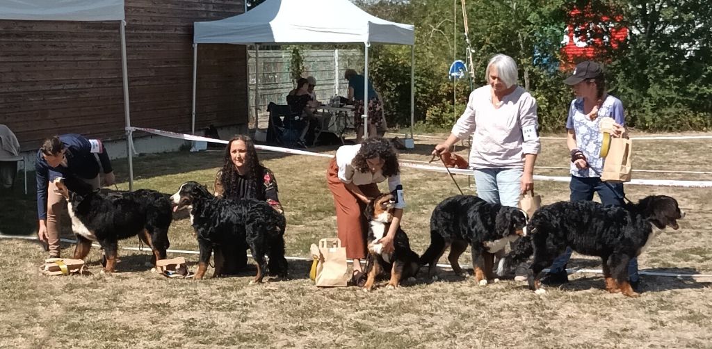 Alma De la Ferme de la Pessoutie - Le plaisir de participer