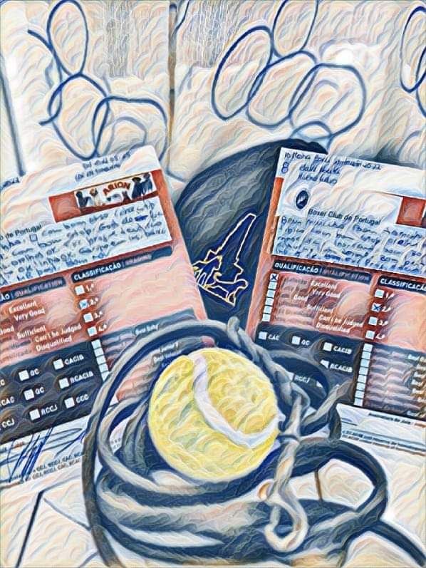 CH. Aske Dironau - EXC 2 + RCACC