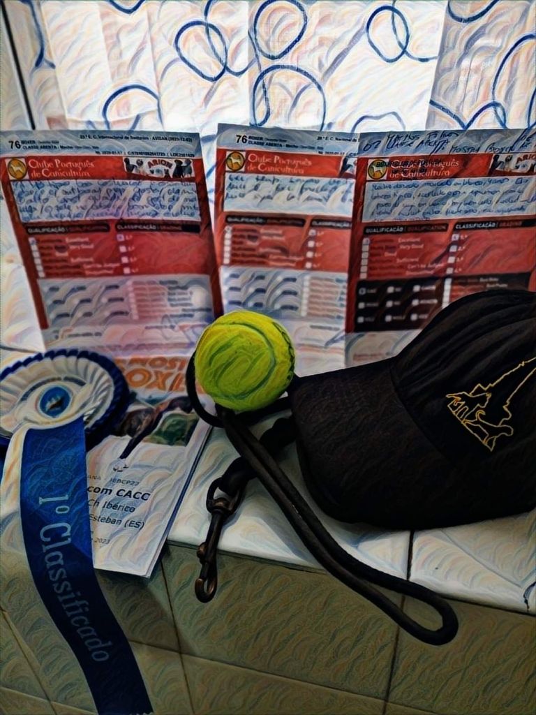 CH. Aske Dironau - EXC 1 + CAC