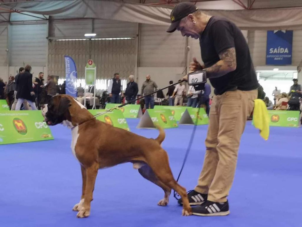 CH. Aske Dironau - EXC 1 + CAC