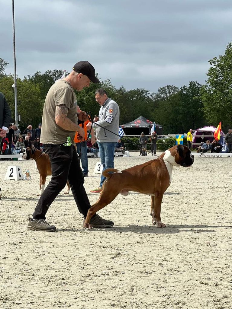 CH. Aske Dironau - EXC 3