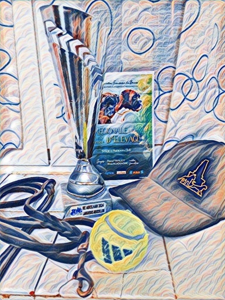 CH. Aske Dironau - EXC 2