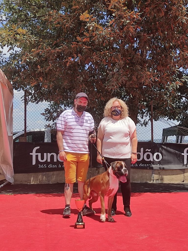 CH. Aske Dironau - EXC1+CCJ+MEJOR JOVEN DE RAZA