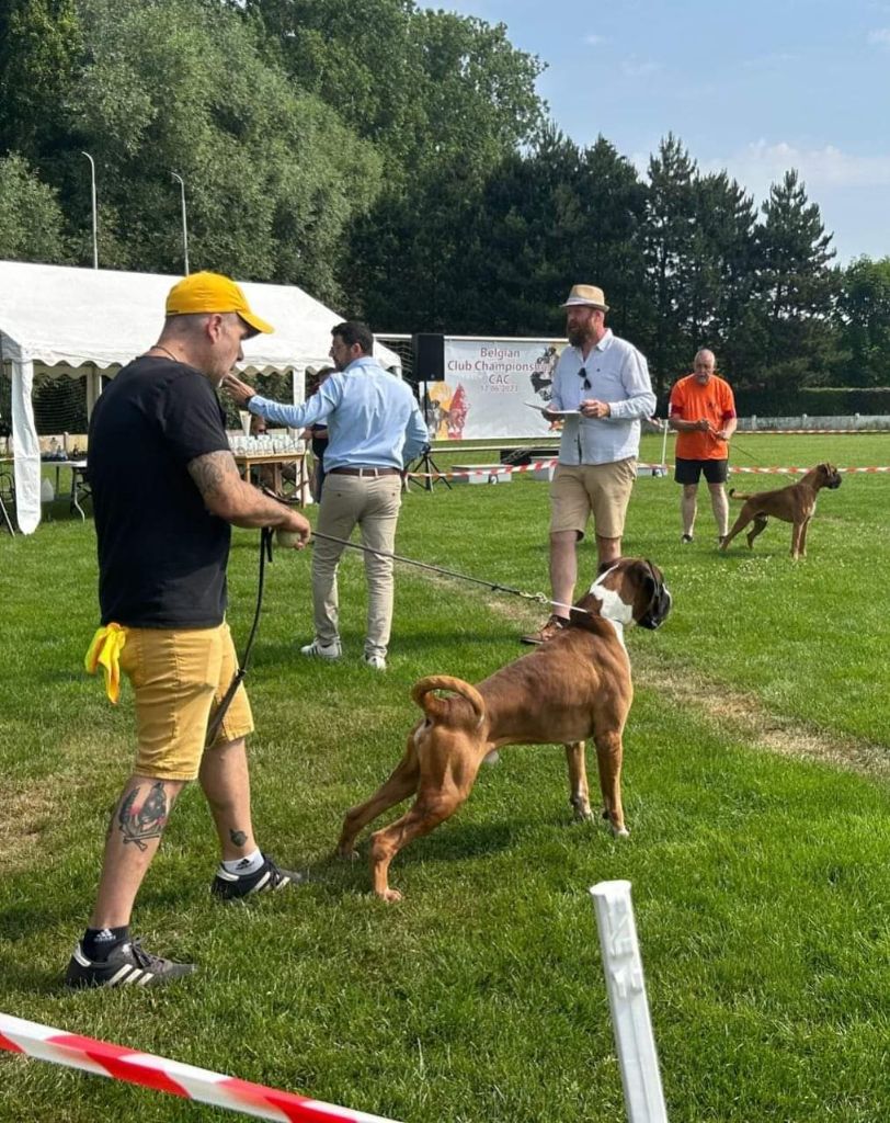 CH. Aske Dironau - EXC 2 + RCCC + RCAC