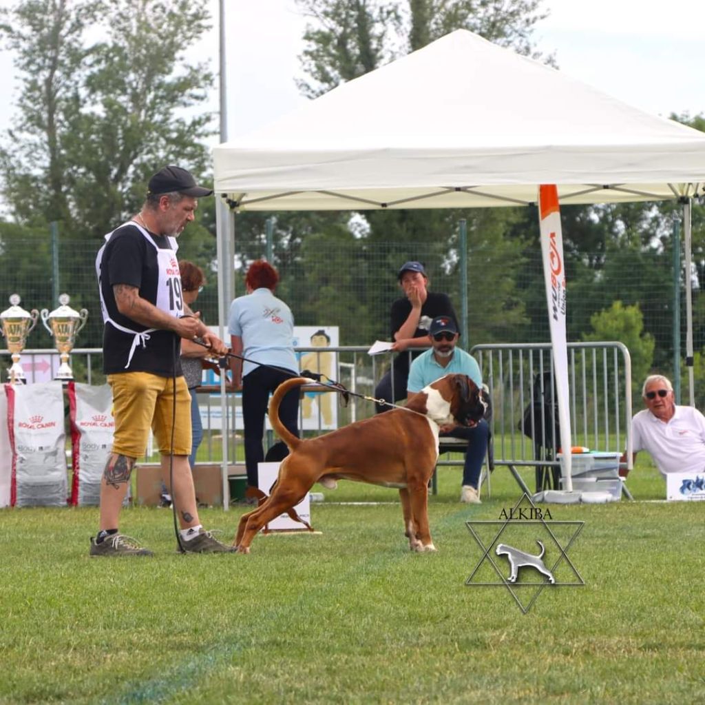 CH. Aske Dironau - EXC 3