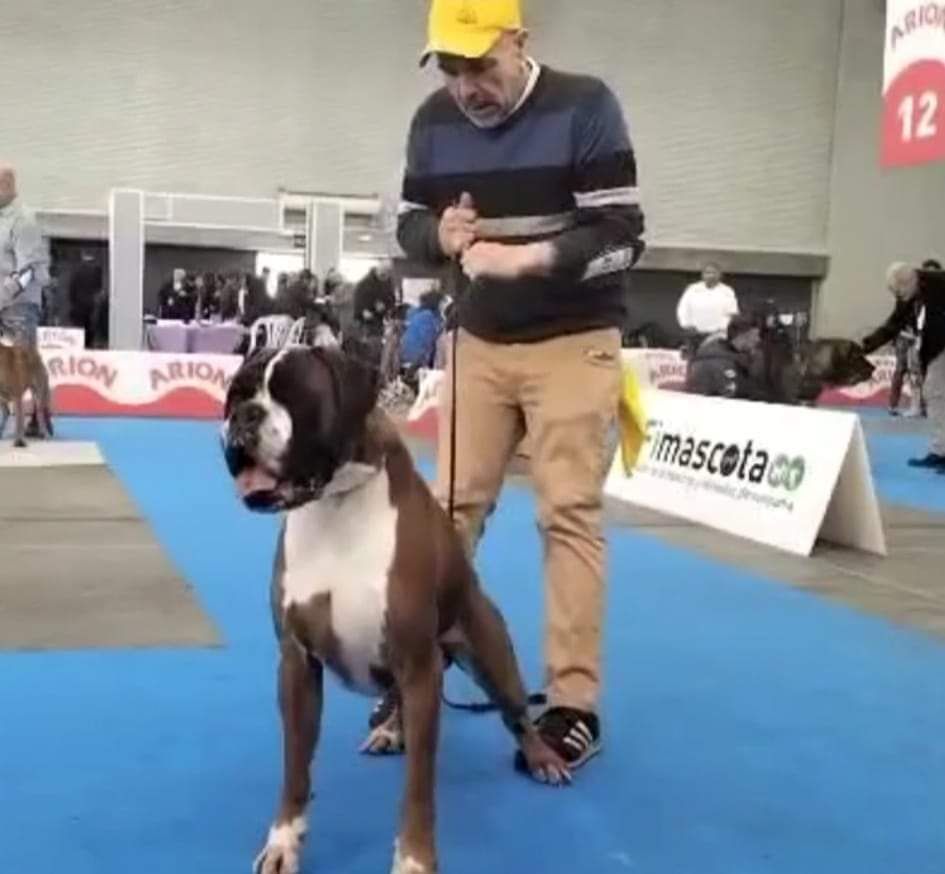 CH. Aske Dironau - EXC 2 + RCAC