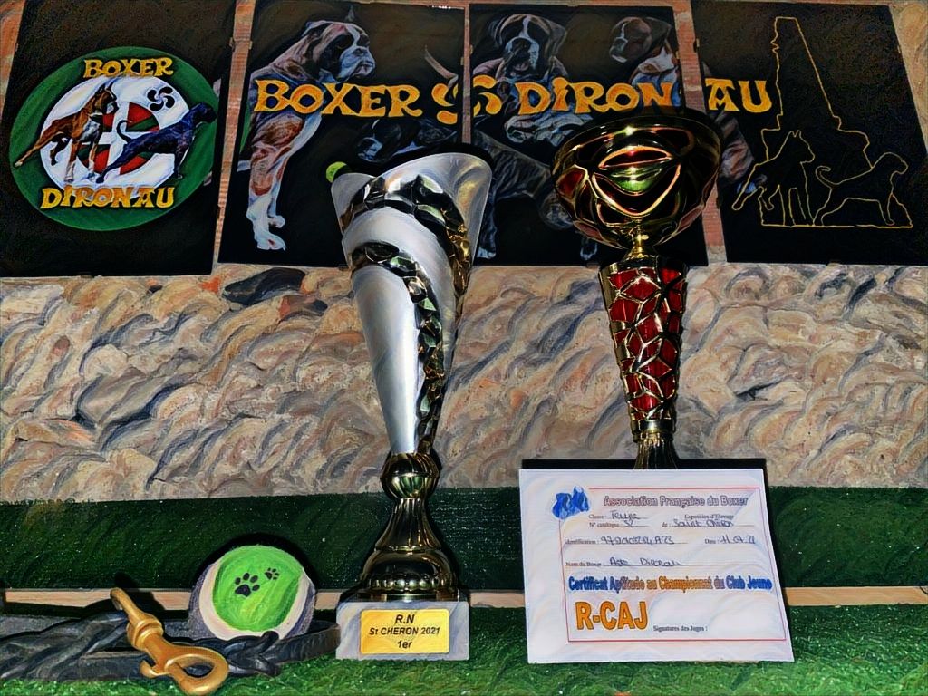 CH. Aske Dironau - EXC1+RCAJ