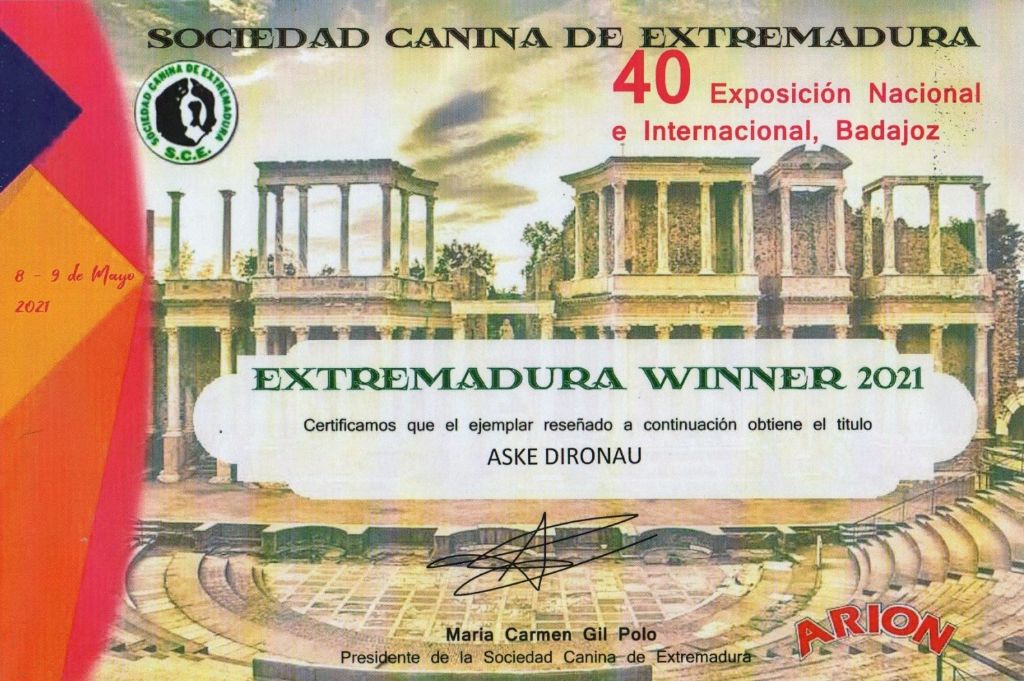 CH. Aske Dironau - EXC1+CCJ+MEJOR JOVEN DE RAZA