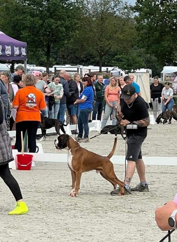 CH. Aske Dironau - EXC 2