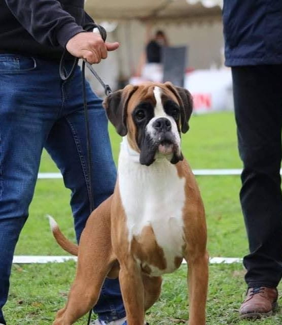 CH. Aske Dironau - TP1