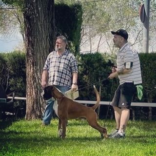 CH. Aske Dironau - EXC 2