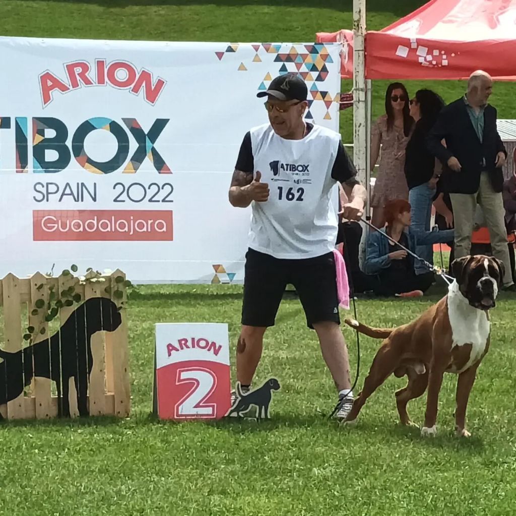 CH. Aske Dironau - EXC 2