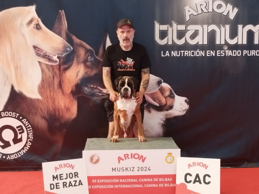 CH. Aske Dironau - EXC 1 + CAC + MEJOR DE RAZA