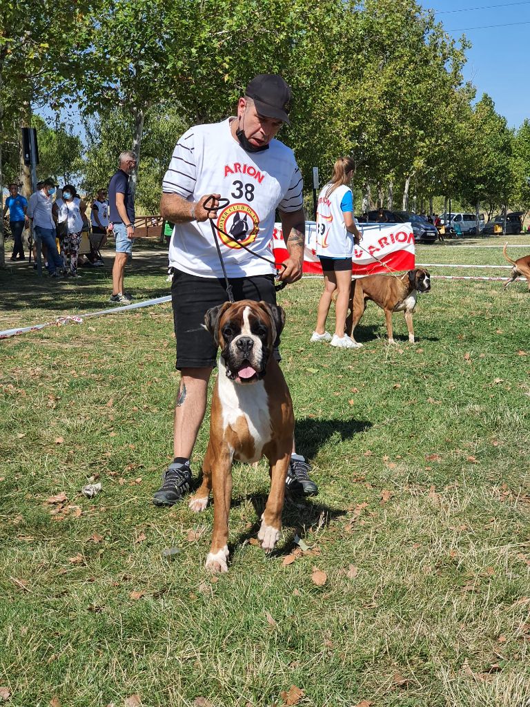 CH. Aske Dironau - EXC1 + RCAC