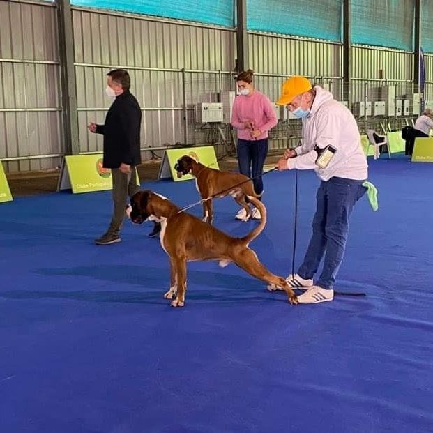 CH. Aske Dironau - EXC2 + RCAC