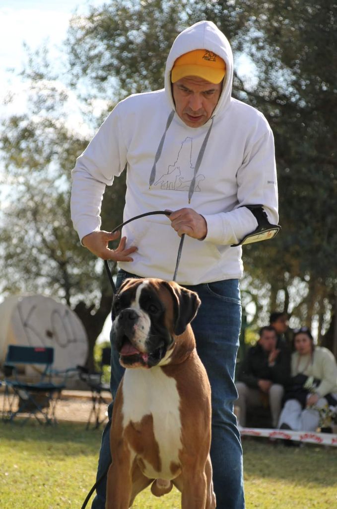 CH. Aske Dironau - EXC 2