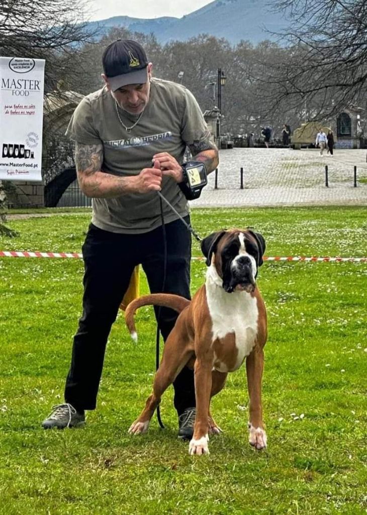 CH. Aske Dironau - EXC 1