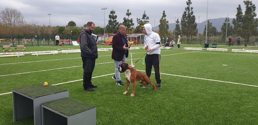 CH. Aske Dironau - EXC 2