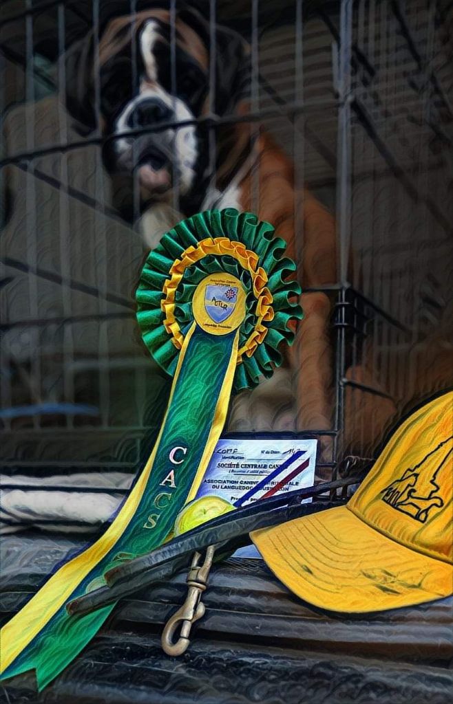 CH. Aske Dironau - EXC 1 + CACS