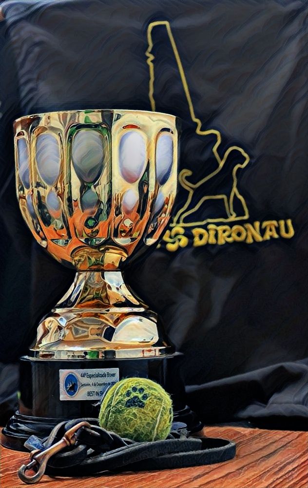 CH. Aske Dironau - EXC1 + CAC + BIS