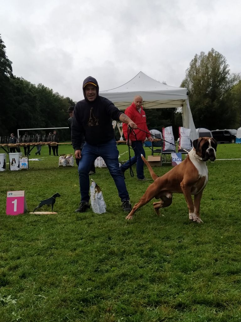 CH. Aske Dironau - EXC1