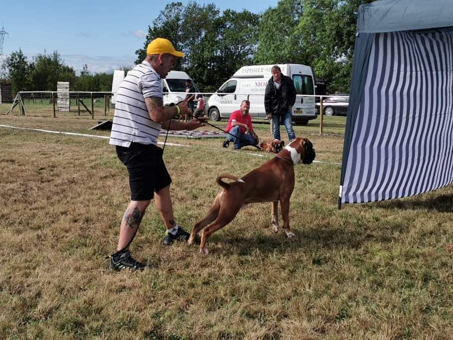 CH. Aske Dironau - EXC2 + MEDALLA DE PLATA + RCACC