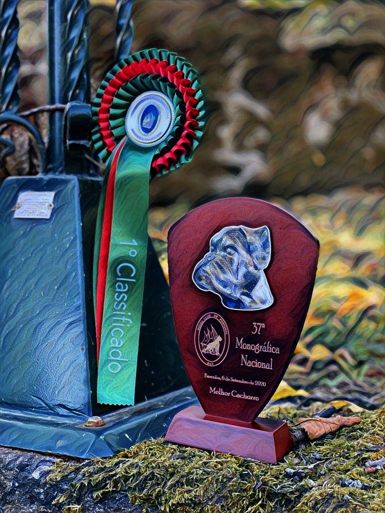 CH. Aske Dironau - MB1+MEJOR CACHORRO DEL AÑO+BIS CACHORROS