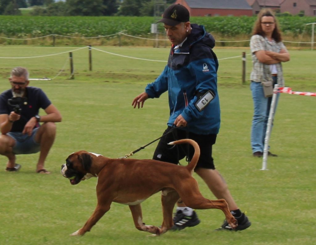 CH. Aske Dironau - EXC1+CCC+RCAC