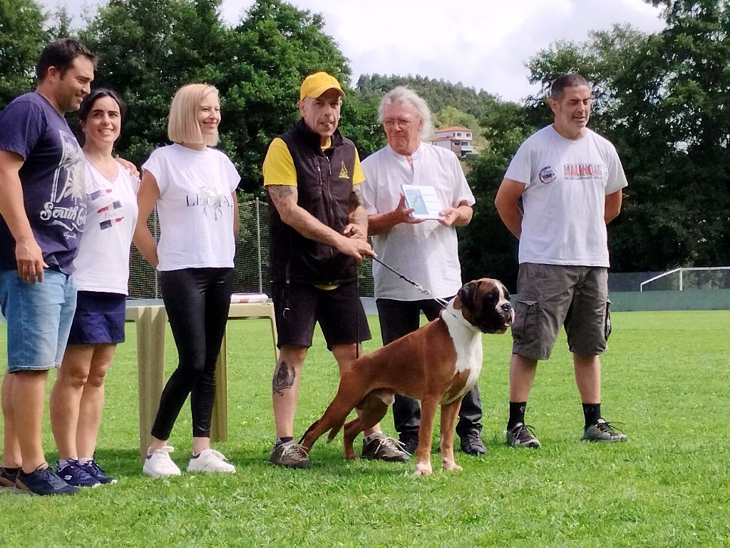 CH. Aske Dironau - APTO